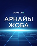 Арнайы жоба