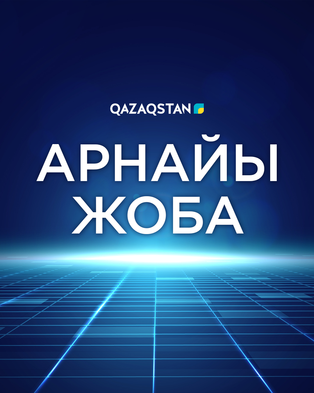 Арнайы жоба