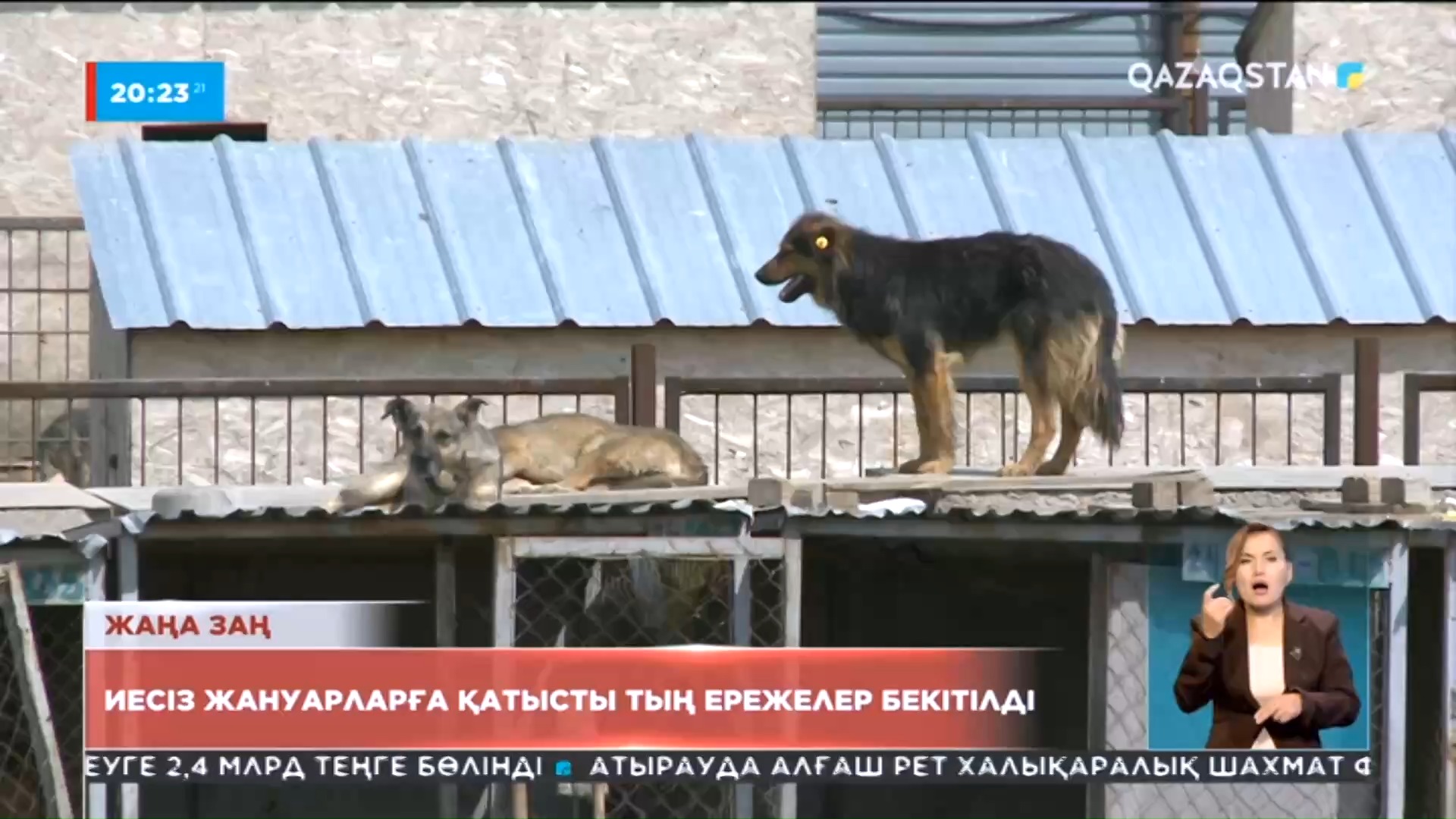 Фонтан сияқты камминг қыздардың порносын қараңыз