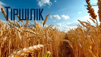 Нан қадірі. Механизатор Берік Жақсылықұлы және агроном Думан Шәктайұлы