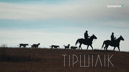 Тазы асыраушы – Құрманғазы Әлиман