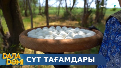 Сүт тағамдары
