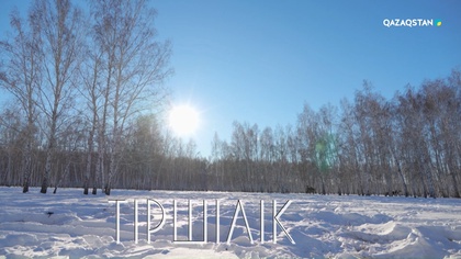 Жапандағы жалғыз үй. Марал шаруашылығы
