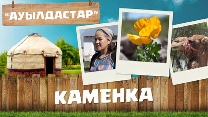 16-бағдарлама