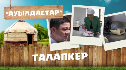 17-бағдарлама