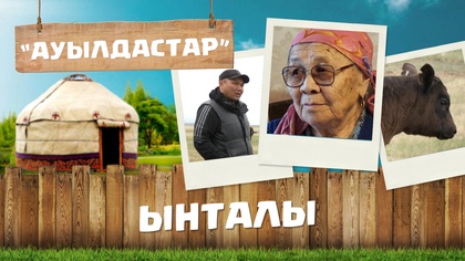 20-бағдарлама