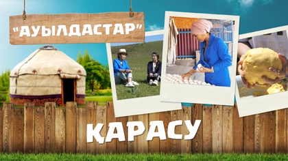 13-бағдарлама