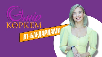 81-бағдарлама
