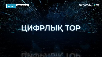 «Цифрлық тор». Арнайы жоба