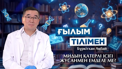 ҒЫЛЫМ ТІЛІМЕН. Бүркітхан Ақбай. МИДЫҢ ҚАТЕРЛІ ІСІГІ ЖУСАНМЕН ЕМДЕЛЕ МЕ?