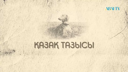 «ҚАЗАҚ ТАЗЫСЫ» деректі фильмі