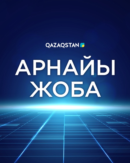 Арнайы жоба