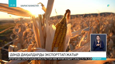 ШҚО диқандары өнімдерін шетелге экспорттап жатыр