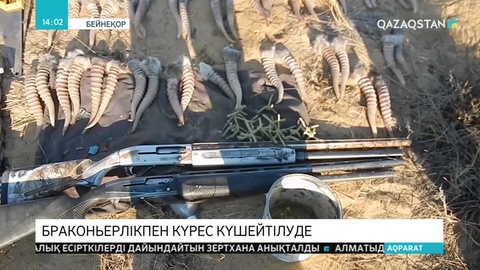 Елімізде браконьерлікке қатысы бар адамдардың тізімі жасалып жатыр