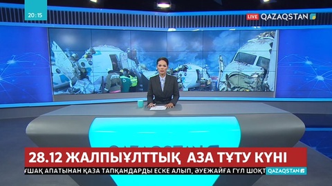 Ұшақ апаты туралы сарапшылар не дейді?