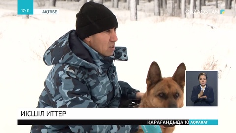 Ақтөбе облысында мал ұрлығы тиылмай тұр
