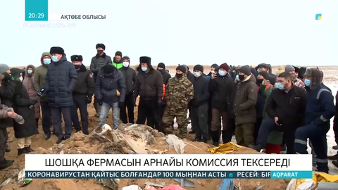 Ақтөбе облысындағы шошқа фермасын арнайы комиссия тексереді