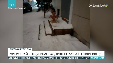 Министр шешесі  үйден қуған бүлдіршінге қатысты пікір білдірді