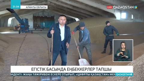 Биыл жетісулықтар 1 миллион гектар жерге дәнді дақыл екпек