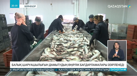 Президент Экология, геология және табиғи ресурстар министрі Мағзұм Мырзағалиевті қабылдады