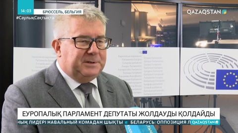 Еуропарламент депутаты Жолдауға пікір білдірді