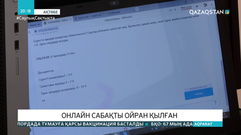 Мектеп оқушылары сабақ оқитын Zoom желісіне кибер шабуыл жасалды