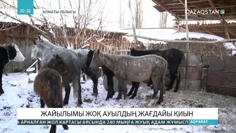 Алматы облысында жайылымы жоқ ауылдың жағдайы қиын