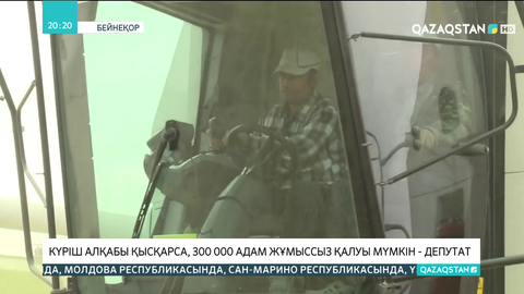 Күріш алқабы қысқарса, 300 мың адам жұмыссыз қалуы мүмкін - депутат