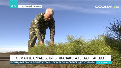 Орман шаруашылығы: Жалақы аз, кадр тапшы