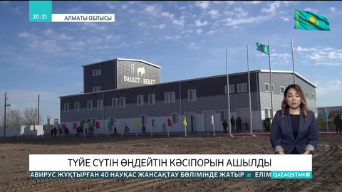 Алматы облысында түйе сүтін өңдейтін кәсіпорын ашылды
