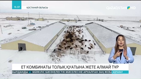 Қостанай: «Торғай ет» толық қуатына жете алмай тұр