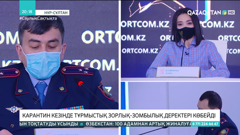 Карантин кезінде тұрмыстық зорлық-зомбылық деректері көбейді