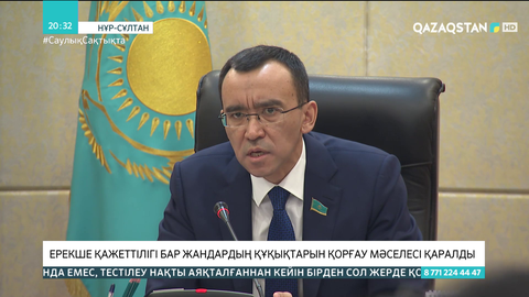 Сенатта ерекше қажеттілігі бар жандардың құқықтарын қорғау мәселесі қаралды