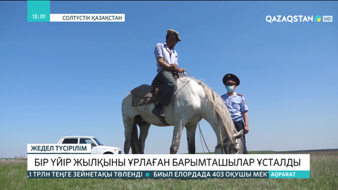 СҚО-да бір үйір жылқыны ұрлаған барымташылар ұсталды
