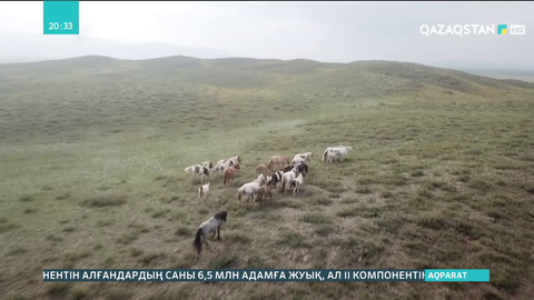 Саржал ауылы Шығыс Қазақстандағы ең дәмді қымыз дайындайтын ауыл ретінде танымал