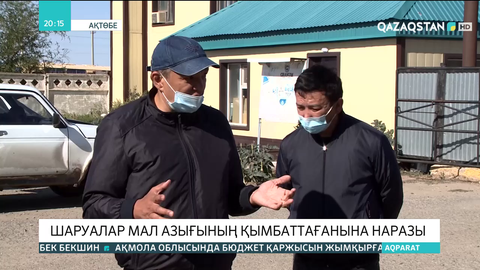Ақтөбелік шаруалар мал азығының қымбаттағанына наразы