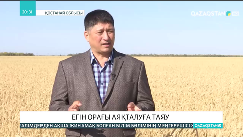 Қостанай облысында егін орағы аяқталуға таяу