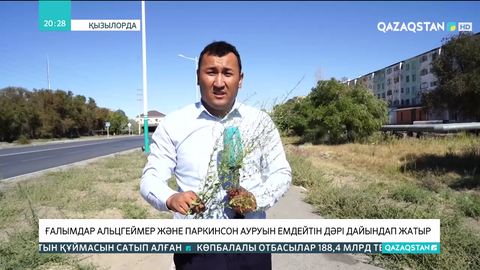 Қызылордалық ғалымдар альцгеймер және паркинсон ауруын емдейтін дәрі дайындап жатыр