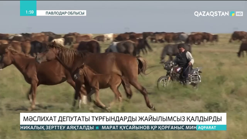 Павлодар облысында мәслихат депутаты тұрғындары жайылымсыз қалдырды