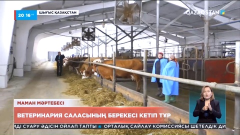 Маман мәртебесі: Ветеринария саласының берекесі кетіп тұр