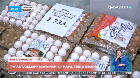Шымкент қаласында азық-түлік бағасы тұрақтандыру қорынан 7,7 миллиард теңге бөлінді