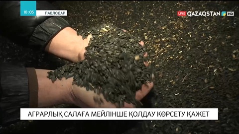 Аграрлық салаға мейлінше қолдау көрсету қажет - Президент