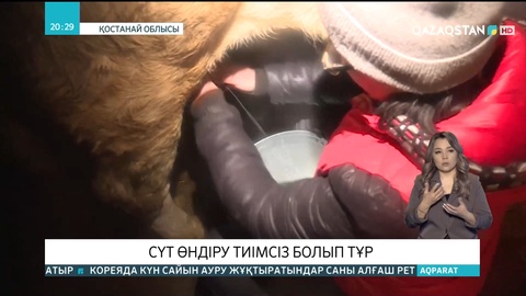 Қостанай облысында сүт өндіру тиімсіз болып тұр