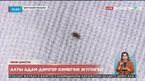 Қостанай облысында кене шаққан 6 адам дәрігер көмегіне жүгінген