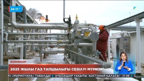 Елімізде 2025 жылы газ тапшылығы сезілуі мүмкін