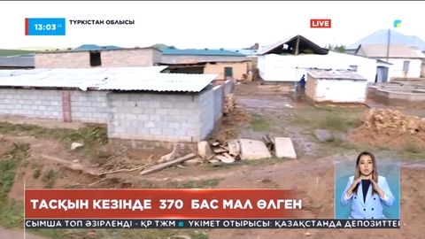 Түркістан облысында тасқын кезінде 370 бас мал өлген