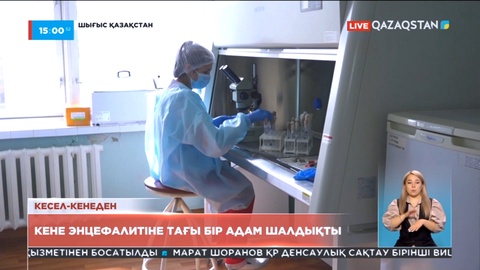 Өскеменде кене энцефалитіне тағы бір адам шалдықты