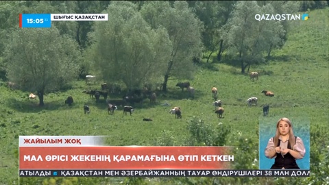 Шығыс Қазақстанда мал өрісі жекенің қарамағына өтіп кеткен