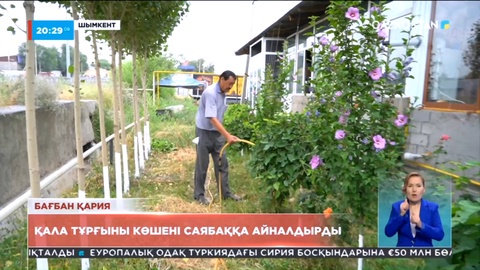 Шымкентте қала тұрғыны көшені саябаққа айналдырды