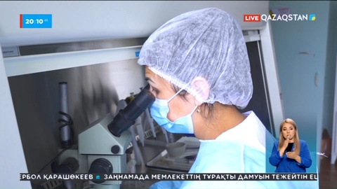 Өскеменде бір адам кене энцефалитіне шалдыққаны анықталды